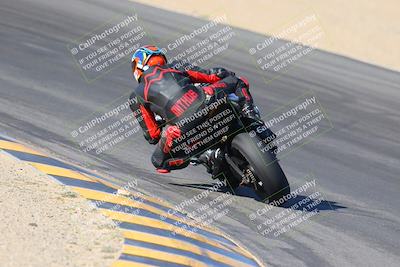 media/Nov-12-2023-SoCal Trackdays (Sun) [[5d1fba4e7d]]/Turn 10 Backside (115pm)/